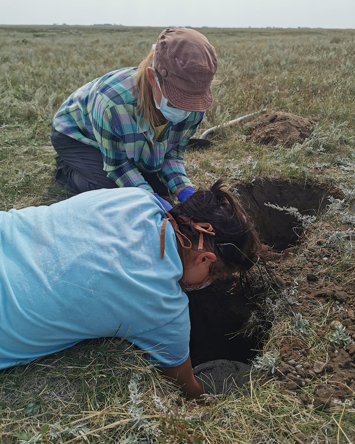 nest burrow.jpg (1.49 MB)